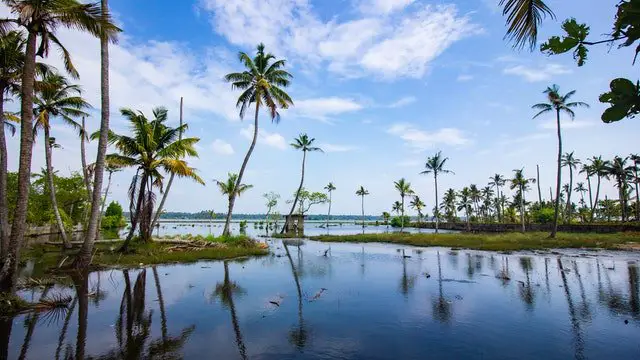 Kerala Tourism - Backwaters of kerala