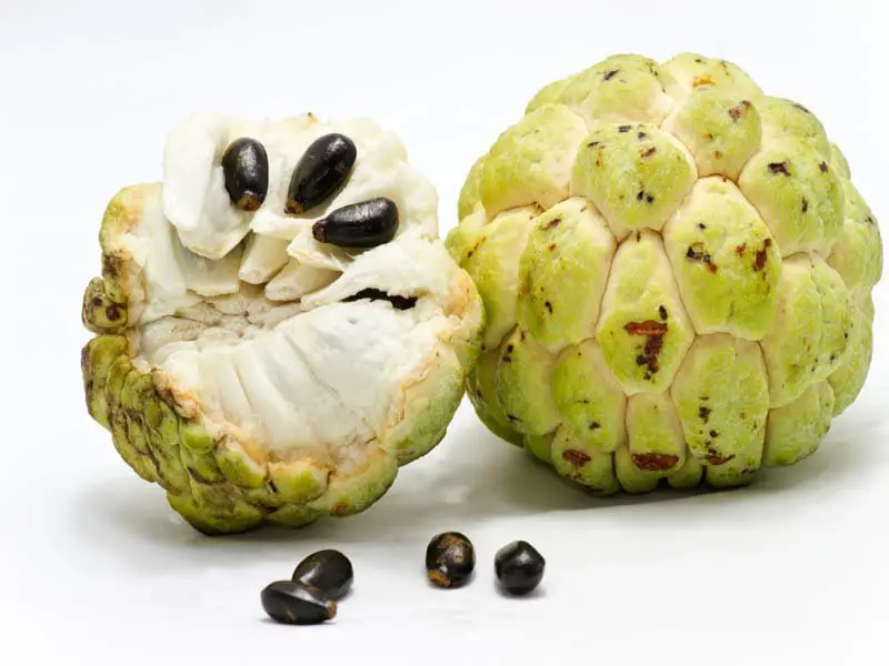 Health Benefits of Custard Apple